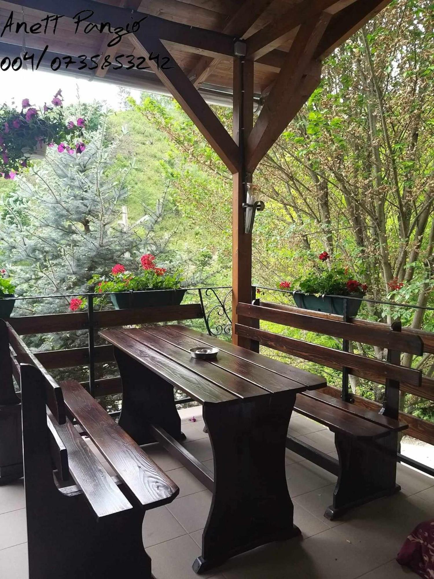 Bed and Breakfast Panzio Anett Pietroasa  Zewnętrze zdjęcie
